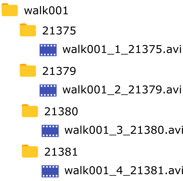 _images/vid_folder_structure.png